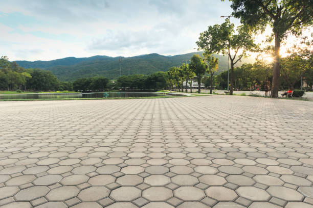 Best Decorative Driveway Pavers  in Woodstock, VA
